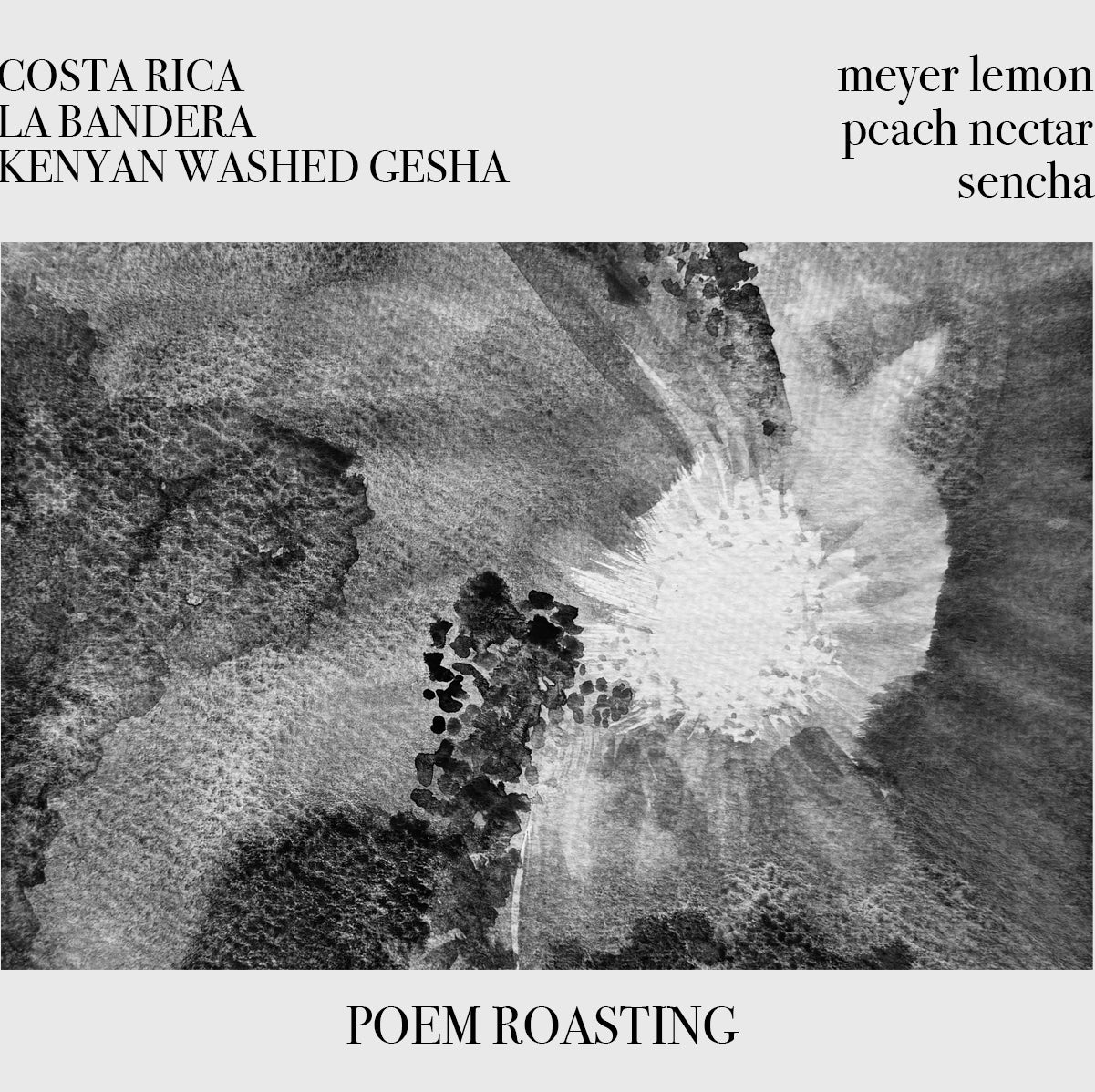 Costa Rica La Bandera Gesha