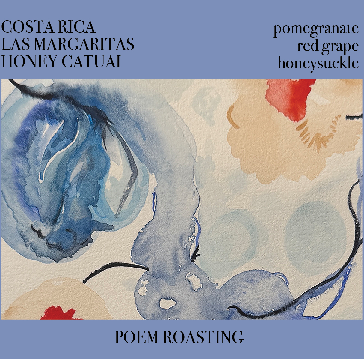 Costa Rica Las Margaritas 26 Honey Catuai