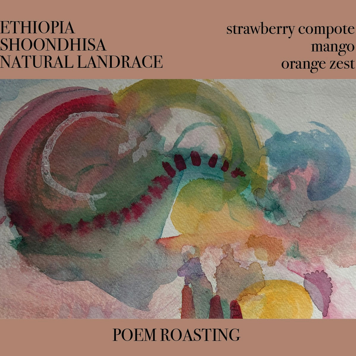 Ethiopia Shoondhisa Natural Landrace