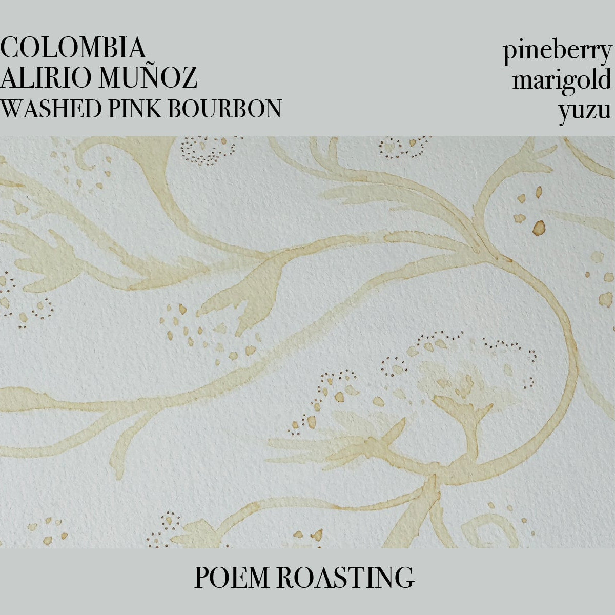 Colombia Alirio Muñoz Pink Bourbon