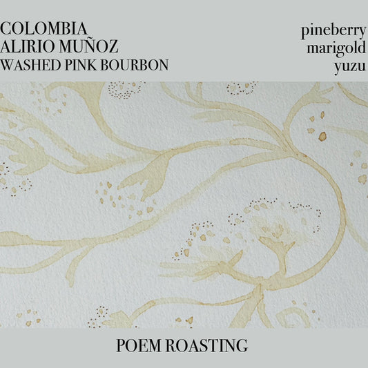 Colombia Alirio Muñoz Pink Bourbon
