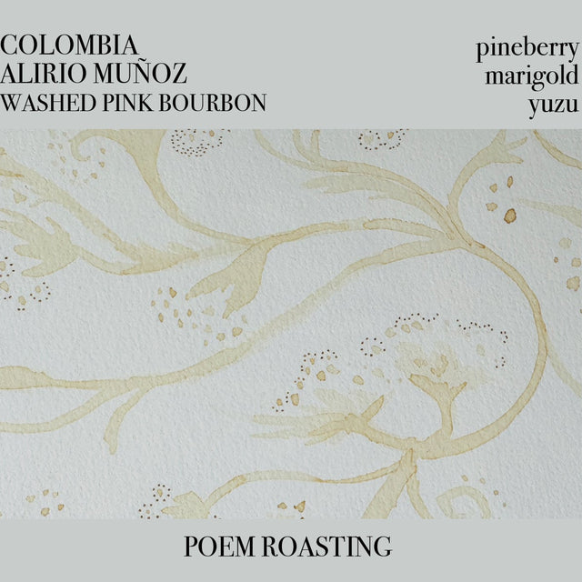 Colombia Alirio Muñoz Pink Bourbon