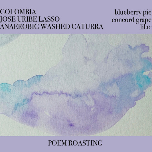 Colombia Jose Uribe Lasso Anaerobic Washed Caturra