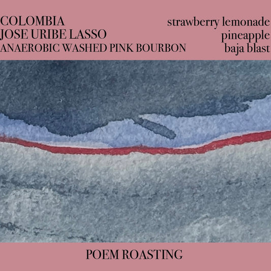 Colombia Jose Uribe Lasso Anaerobic Washed Pink Bourbon