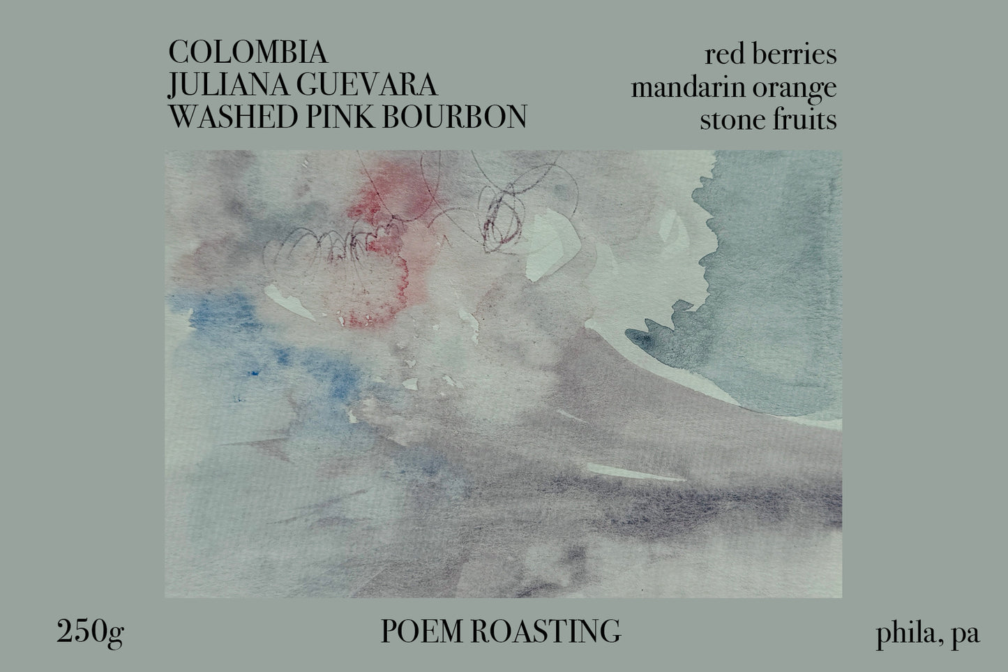 Colombia Juliana Guevara Washed Pink Bourbon