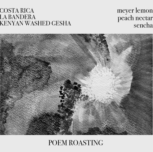 Costa Rica La Bandera Gesha