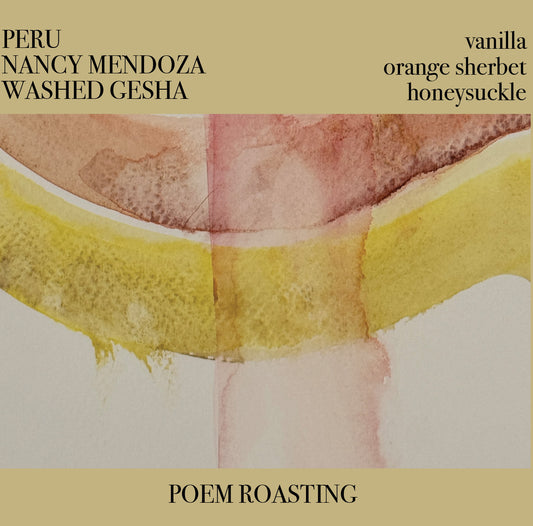 Peru Nancy Mendoza Washed Gesha