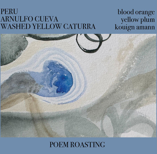 Peru Arnulfo Cueva Yellow Caturra