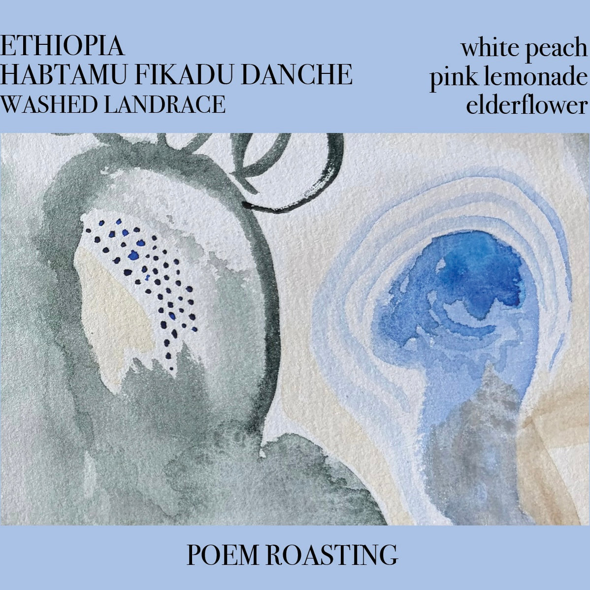 Ethiopia Habtamu Fikadu Danche Washed Landrace